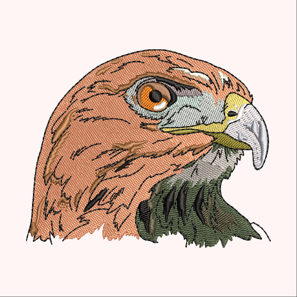 eagle face