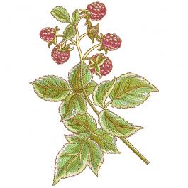 High Quality Raspberry With Leaves Embroidery Design | Cre8iveSkill