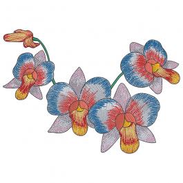 High Quality Colorfull Orchid Machine Embroidery Flower Design | Cre8iveSkill