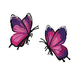 Download Pink Butterfly Coloreel Embroidery Design | Cre8iveskill