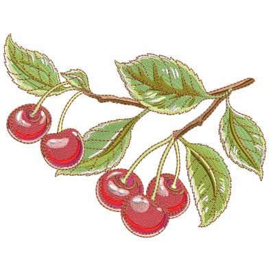 Quality Cherries With Leaves Embroidery Design | Cre8iveSkill
