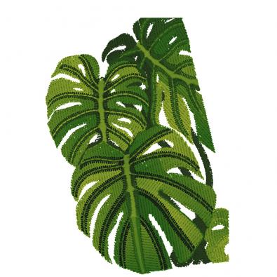 Monstera Plant Leaf Coloreel Embroidery Design | Cre8iveSkill